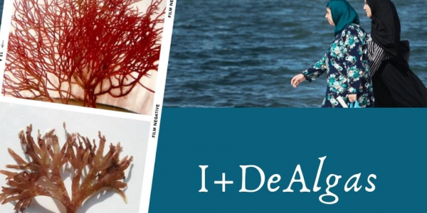 Proyecto 'I+DeAlgas' | Foto: ULPGC