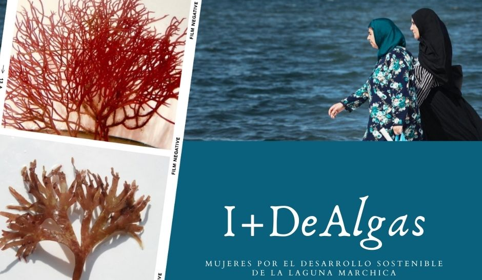Proyecto 'I+DeAlgas' | Foto: ULPGC