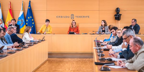 El Consejo Insular de Aguas de Tenerife declara la emergencia hídrica | Foto: Cabildo de Tenerife