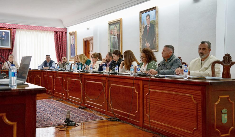 Pleno del Ayuntamiento de Arona