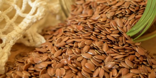 Semillas | Foto: Pixabay