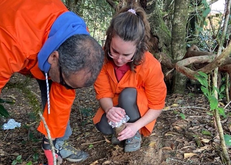 Estudio de los microplásticos en el Parque Rural de Anaga | Foto: Ayuntamiento de Santa Cruz de Tenerife