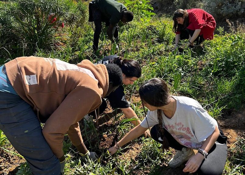 Voluntarios de la Fundación Buen Samaritano | Fundación Buen Samaritano