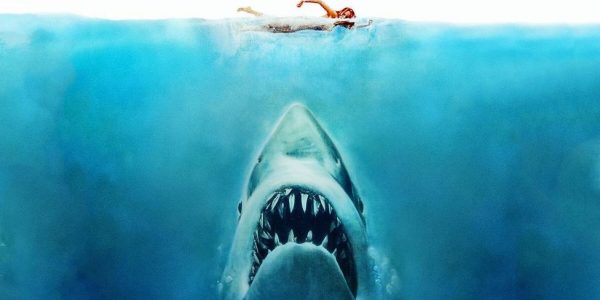 Fotograma de 'Tiburón' de Steven Spielberg | Universal Pictures