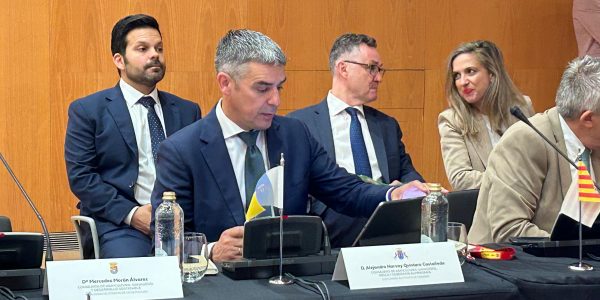 El consejero Narvay Quintero durante la conferencia sectorial de Agricultura y Pesca | Foto: Gobierno de Canarias