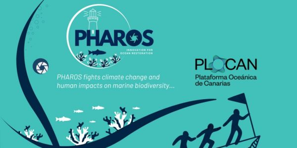 Pharos Project