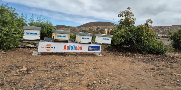 Apiotcan | Foto: Apigranca