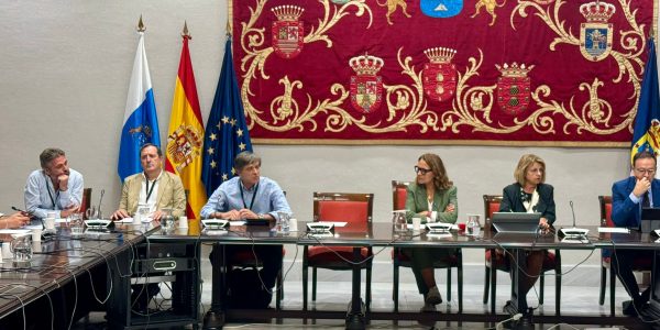 Comisión de Agricultura | Foto: Parlamento de Canarias