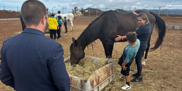 Equinosentido | Foto: Ayuntamiento de La Laguna