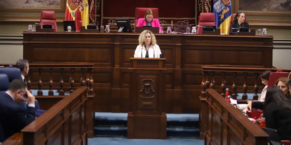 Marta Gómez | Foto: Parlamento de Canarias