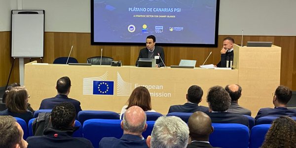 Reunión de la Asociación de Productores Europeos de Plátano y Banana | Foto: APEB