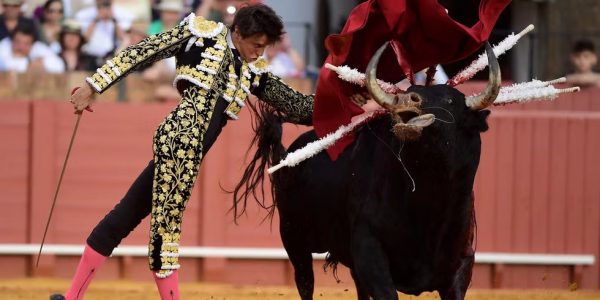 Fotograma de ‘Tardes de soledad’ | Rosa Filmes
