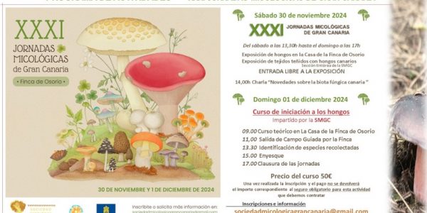 XXXI edición de las Jornadas Micológicas en Gran Canaria