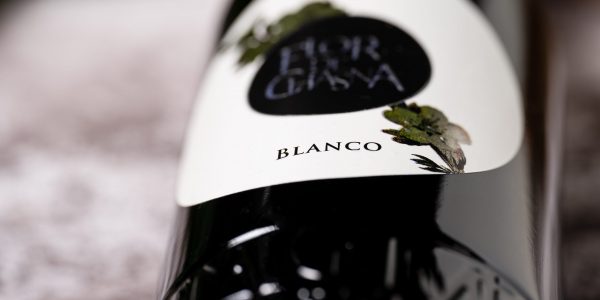 Flor de Chasna Blanco | Foto: Bodega Cumbres de Abona