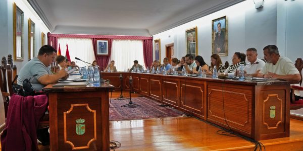 Pleno del Ayuntamiento de Arona