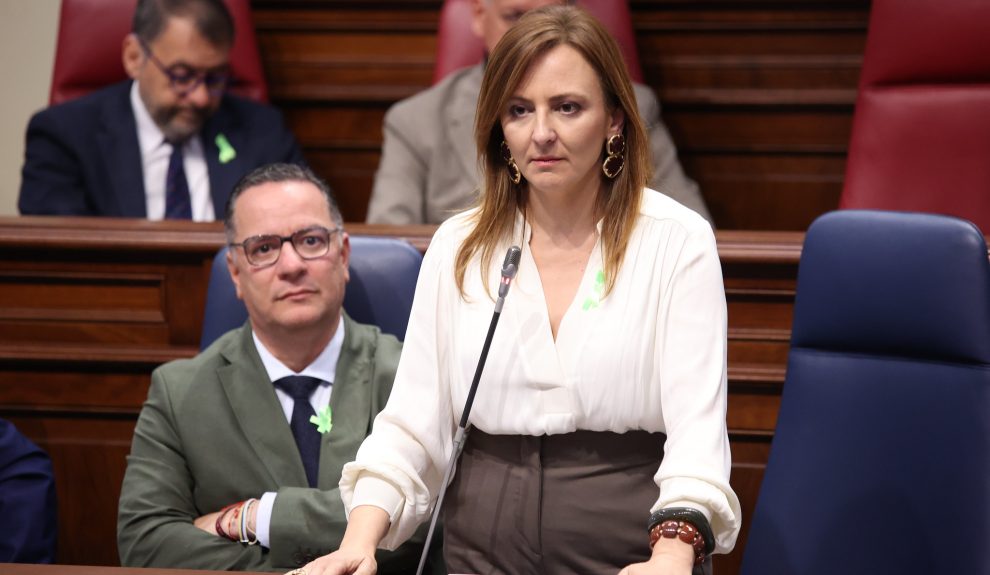 Nieves Lady Barreto | Foto: Parlamento de Canarias