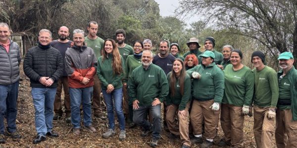 Equipo de Foresta en el bosque de los recuerdos