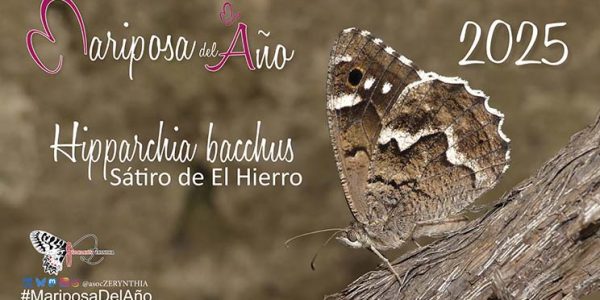 Mariposa del Año | Asociación Española para la Protección de las Mariposas y su Medio (Zerynthia)