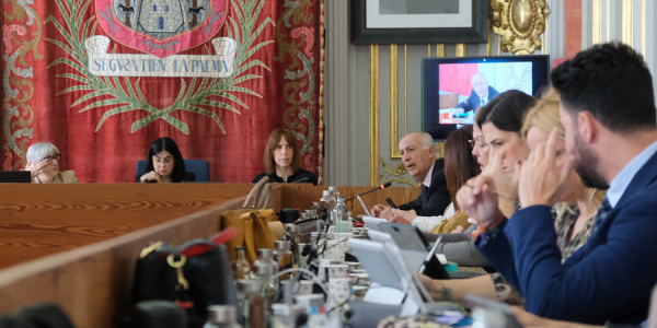 Francisco Hernandez Spinola durante el pleno | Foto: Ayuntamiento de Las Palmas de Gran Canaria