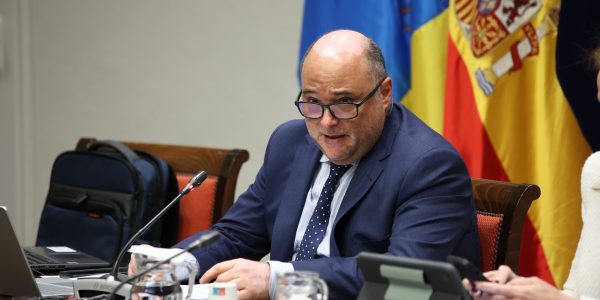 Jorge Escuder en la comisión del REF | Foto: Parlamento de Canarias