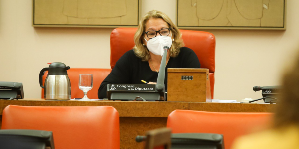 Meri Pita en la Comisión de Investigación del Accidente de Spanair | Foto: Congreso de los Diputados