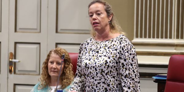 Sonsoles Martín | Foto: Parlamento de Canarias