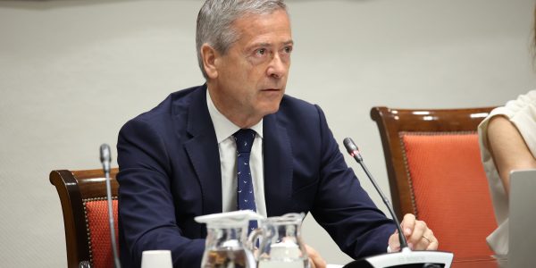 Agustín Manrique de Lara en la comisión del Parlamento sobre el REF | Foto: Parcan