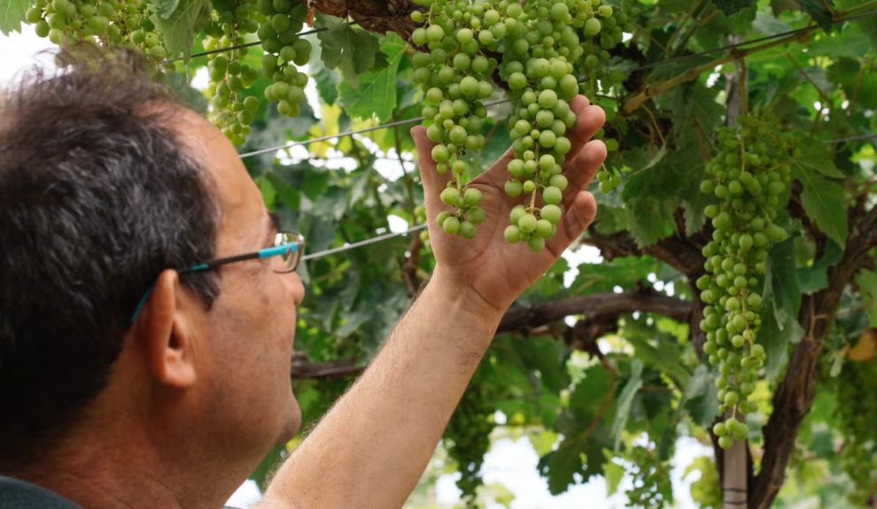 Juan jesús Méndez | Foto: Bodegas Viñátigo