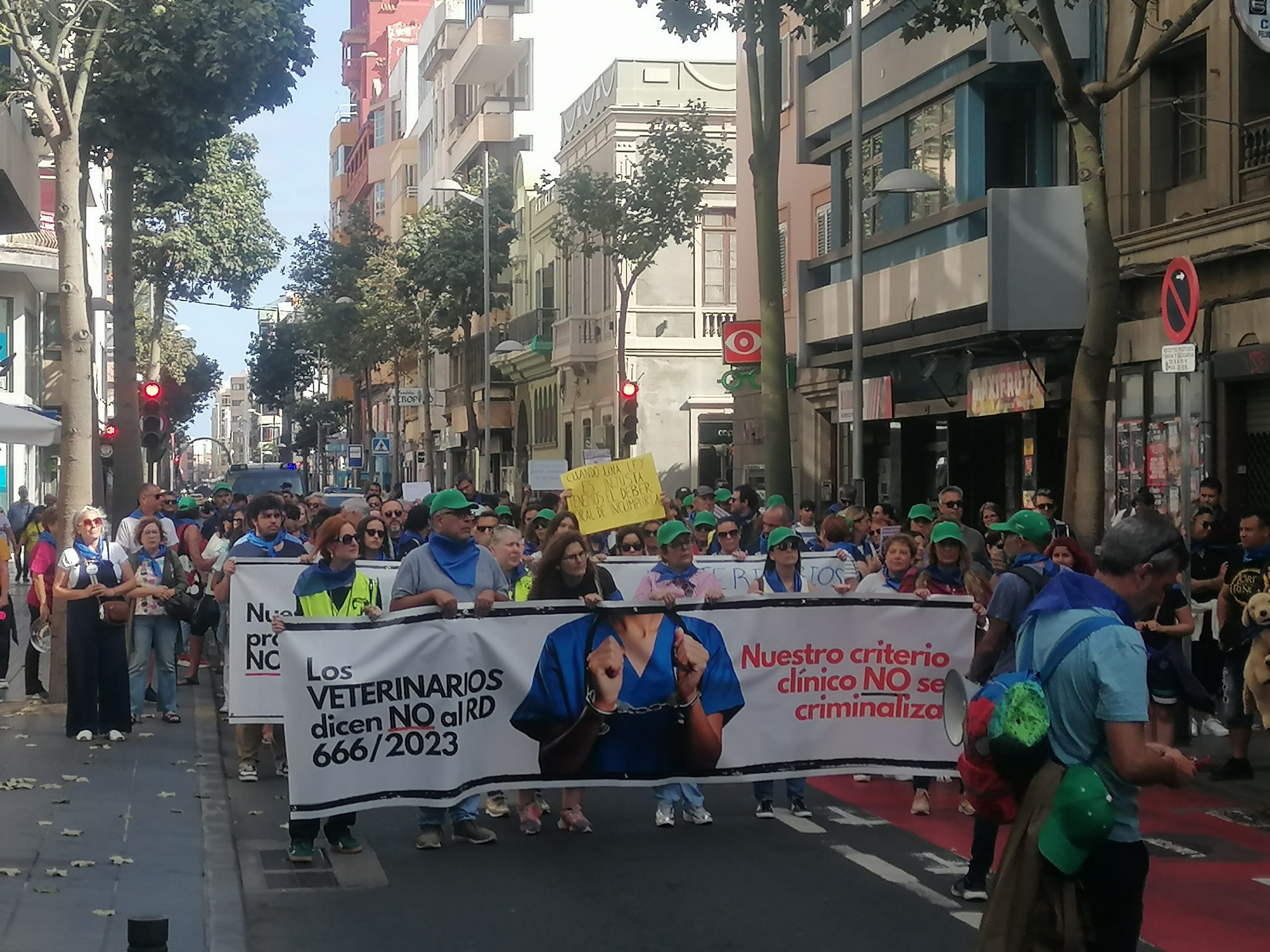 Manifestación de veterinarios en Las Palmas de Gran Canaria | Foto: Colegio de Veterinarios de Las Palmas Manifestación de veterinarios en Las Palmas de Gran Canaria | Foto: Colegio de Veterinarios de Las Palmas