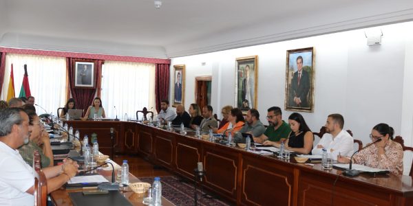 Pleno del Ayuntamiento de Arona | Foto: Ayuntamiento de Arona