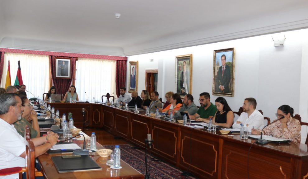 Pleno del Ayuntamiento de Arona | Foto: Ayuntamiento de Arona