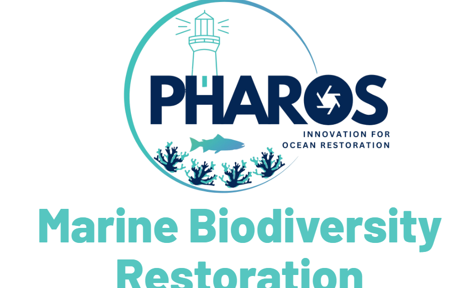 Proyecto Pharos