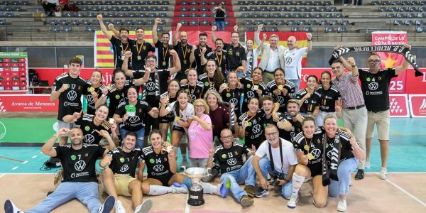 CV Heidelberg Volkswagen | Foto: Gobierno de Canarias