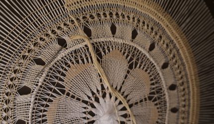 Roseta | Foto: Gobierno de Canarias