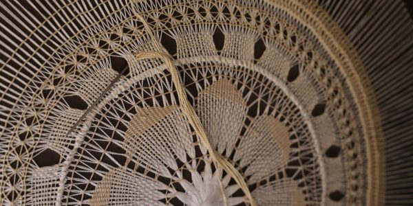 Roseta | Foto: Gobierno de Canarias