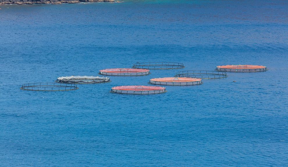 Piscifactoría | Diego Delso - Wikipedia