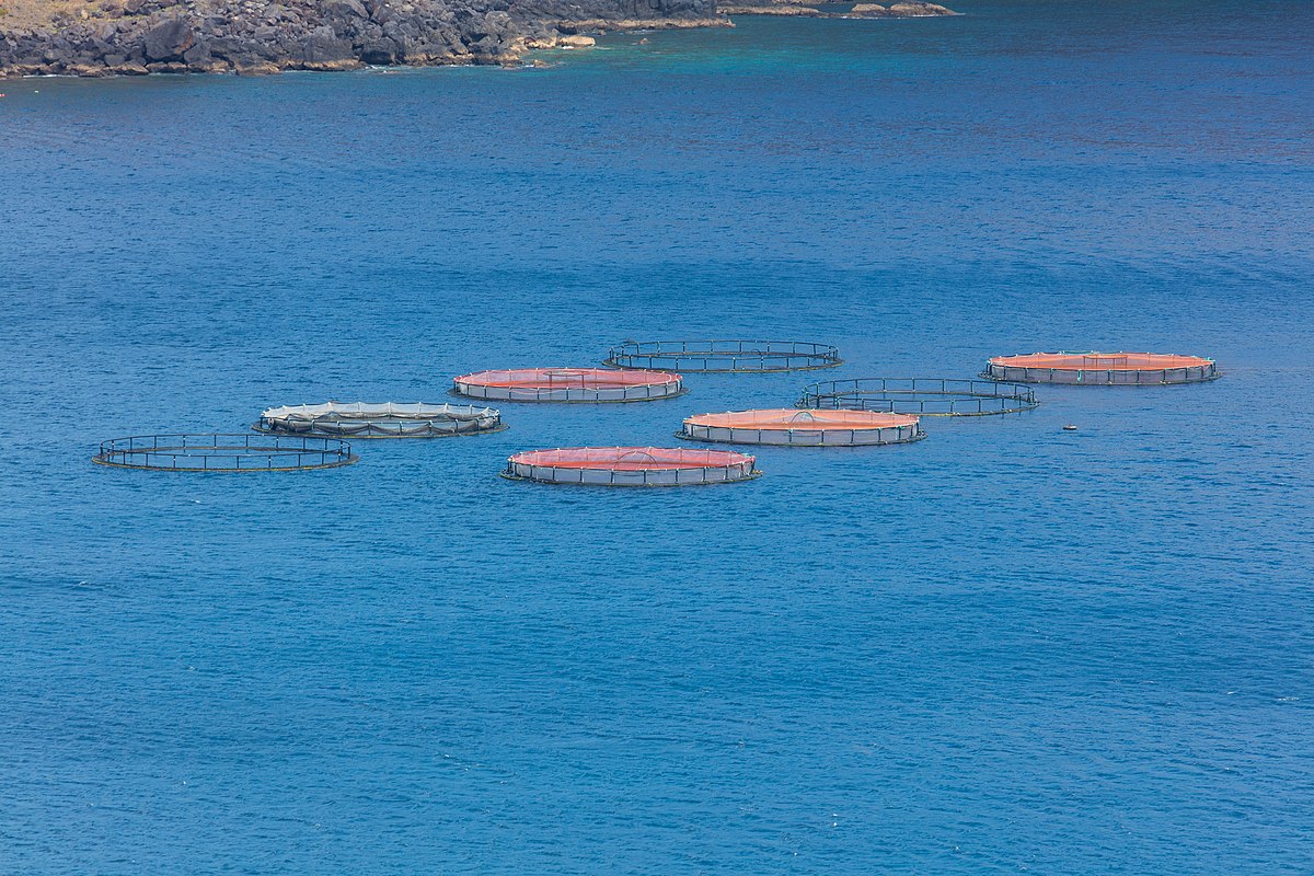 Piscifactoría | Diego Delso - Wikipedia