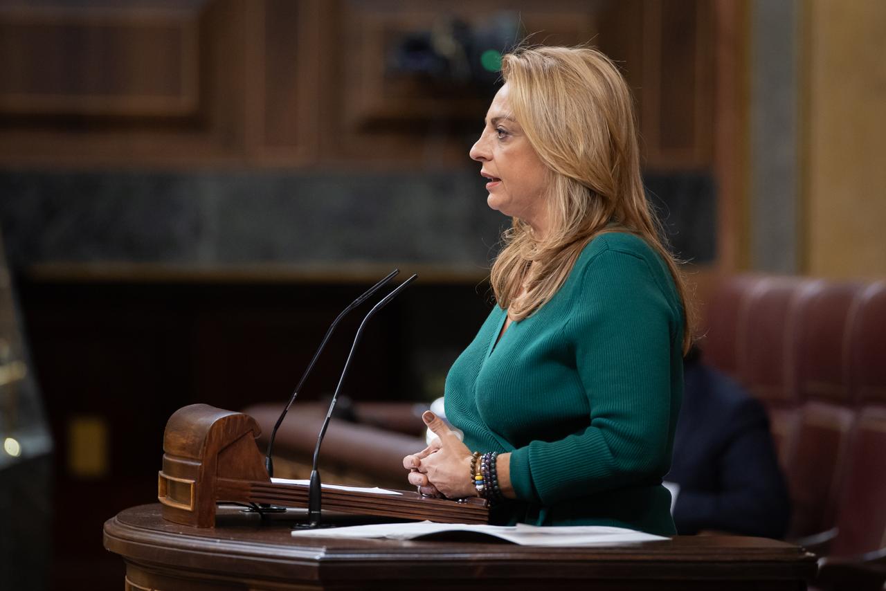 Cristina Valido en el Congreso de los Diputados | Foto: Congreso