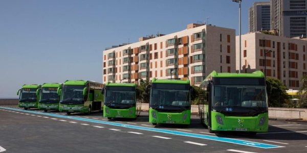 Guaguas de la empresa Titsa |