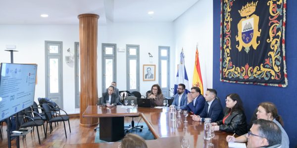 Encuentro de la Oficina Virtual de Apoyo a los Municipios y Reto Demográfico | Foto: Gobierno de Canarias