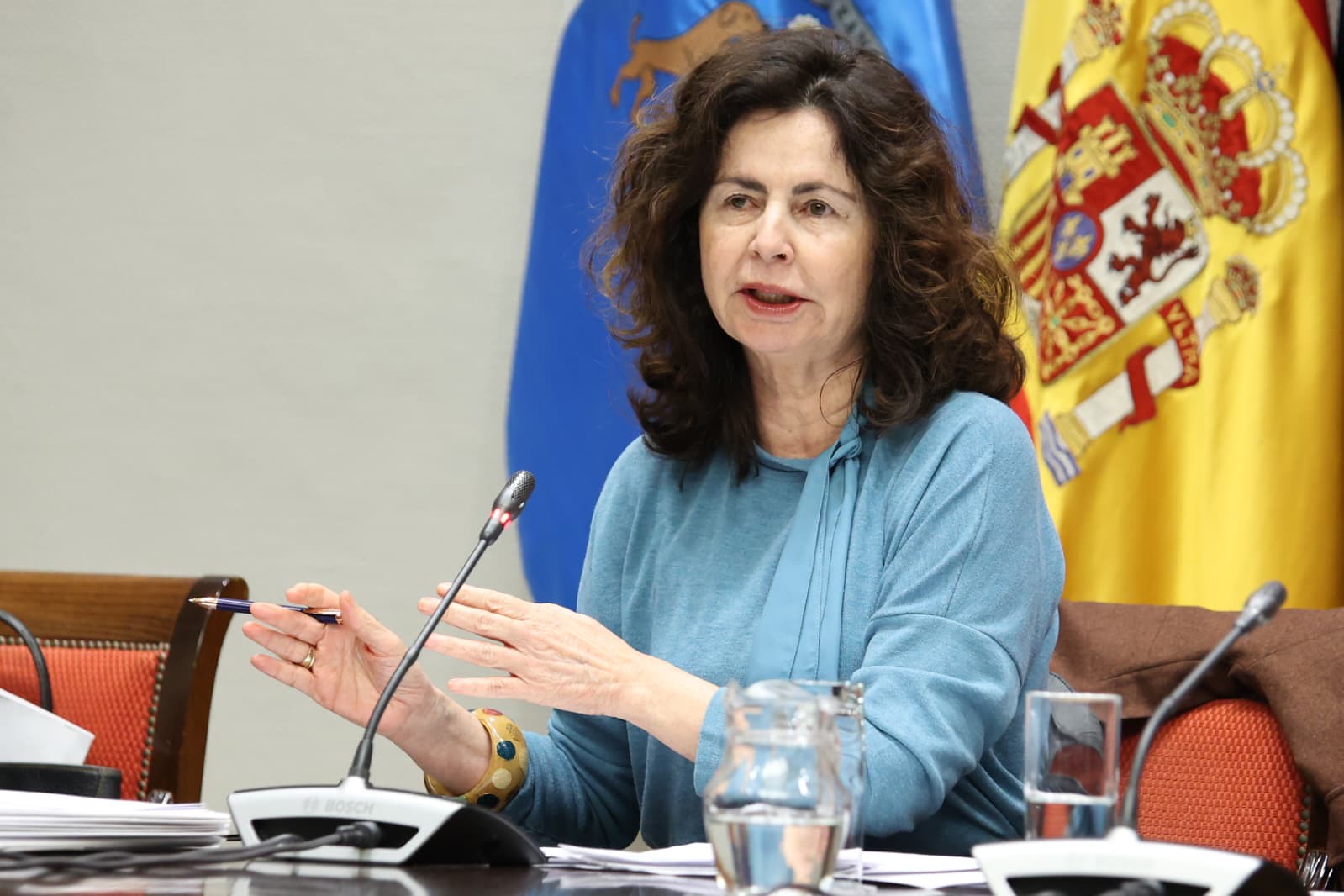 Matilde Asián en la Comisión de Presupuestos y Hacienda | Foto: Parlamento de Canarias
