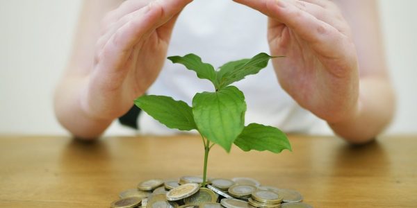 Laura Rosales recomienda a los inversores en las islas consultar con un fiscalista | Foto: Pixabay