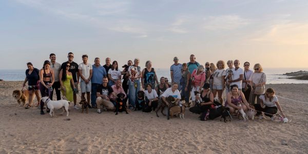 Playas para perros en Mogán | Foto: Ayuntamiento de Mogán