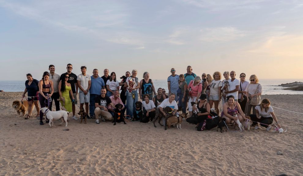 Playas para perros en Mogán | Foto: Ayuntamiento de Mogán