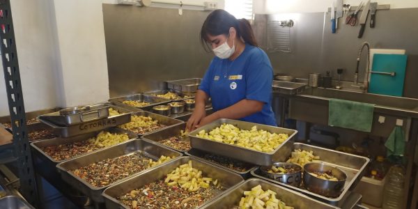 Alumna del plan de empleo en la zona de cocina durante la preparación de las diferentes dietas que serán distribuidas en los recintos de fauna salvaje | Foto: Fundación Neotrópico