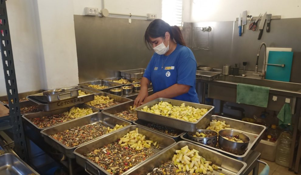 Alumna del plan de empleo en la zona de cocina durante la preparación de las diferentes dietas que serán distribuidas en los recintos de fauna salvaje | Foto: Fundación Neotrópico