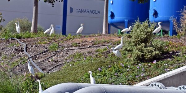 «Prevenir el riesgo» es, a su juicio, la clave de una estrategia que debe preparar a las islas | Foto: Canaragua