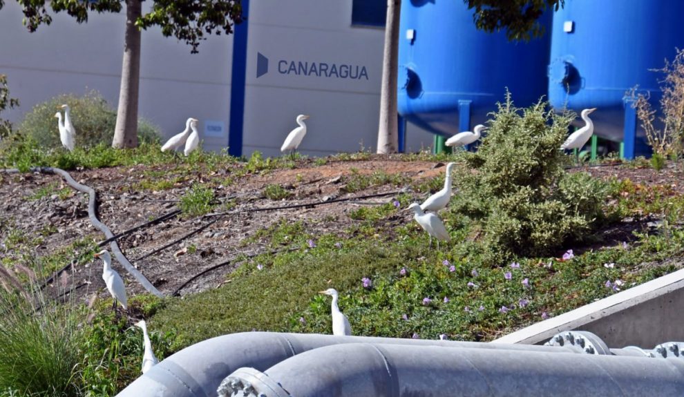 «Prevenir el riesgo» es, a su juicio, la clave de una estrategia que debe preparar a las islas | Foto: Canaragua