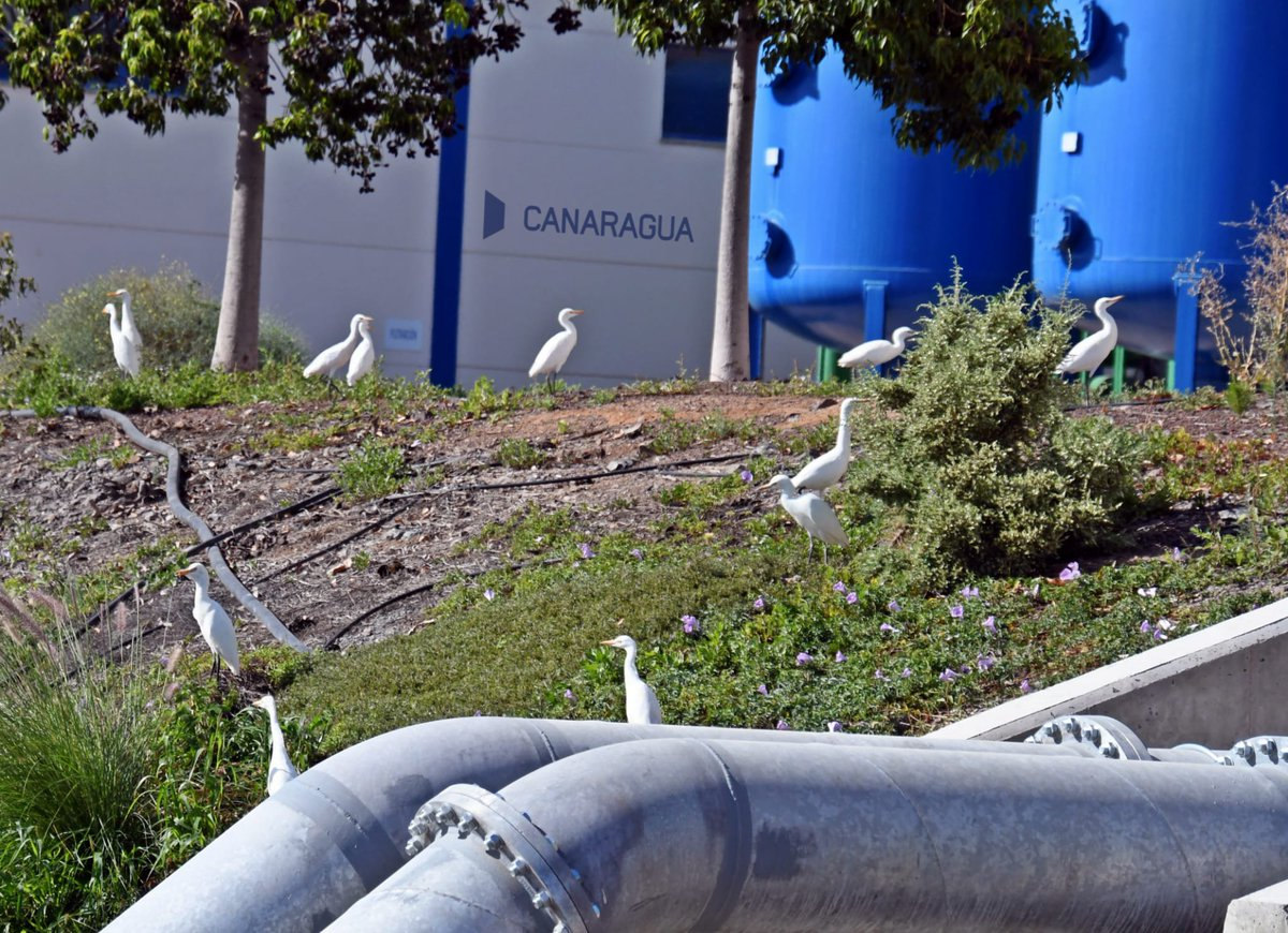 «Prevenir el riesgo» es, a su juicio, la clave de una estrategia que debe preparar a las islas | Foto: Canaragua