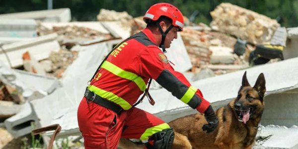 Unidad Canina de la UME | Foto: Ministerio de Defensa